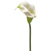 CALLA - Kunststoff (75cm) - Ambia Home CALLA - Kunststoff (75cm) - Ambia Home