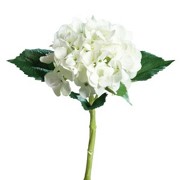 HORTENSIE - Weiß, KONVENTIONELL, Kunststoff/Textil (47cm) HORTENSIE - Weiß, KONVENTIONELL, Kunststoff/Textil (47cm)