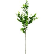 KUNSTPFLANZE - Grün, Kunststoff (70cm) - Ambia Home KUNSTPFLANZE - Grün, Kunststoff (70cm) - Ambia Home